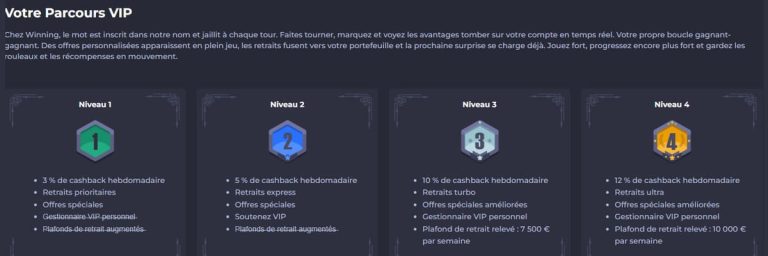 Winning Casino programme VIP